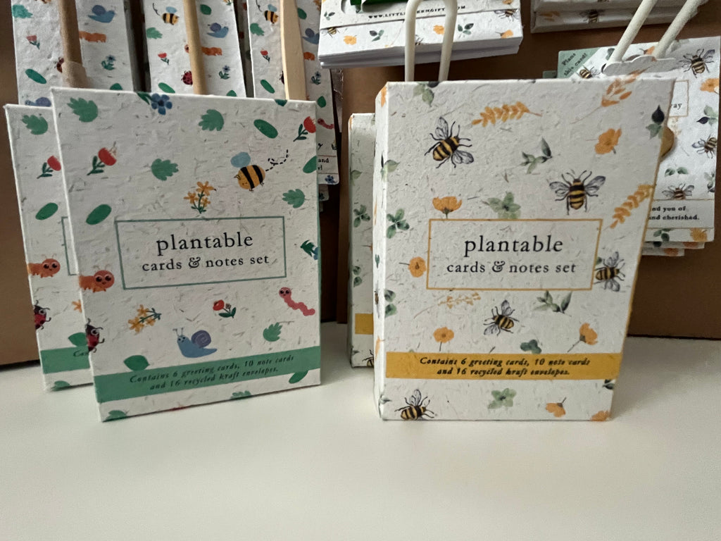 Mini cards and notes set!