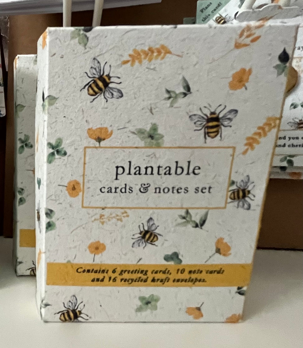 Mini cards and notes set!