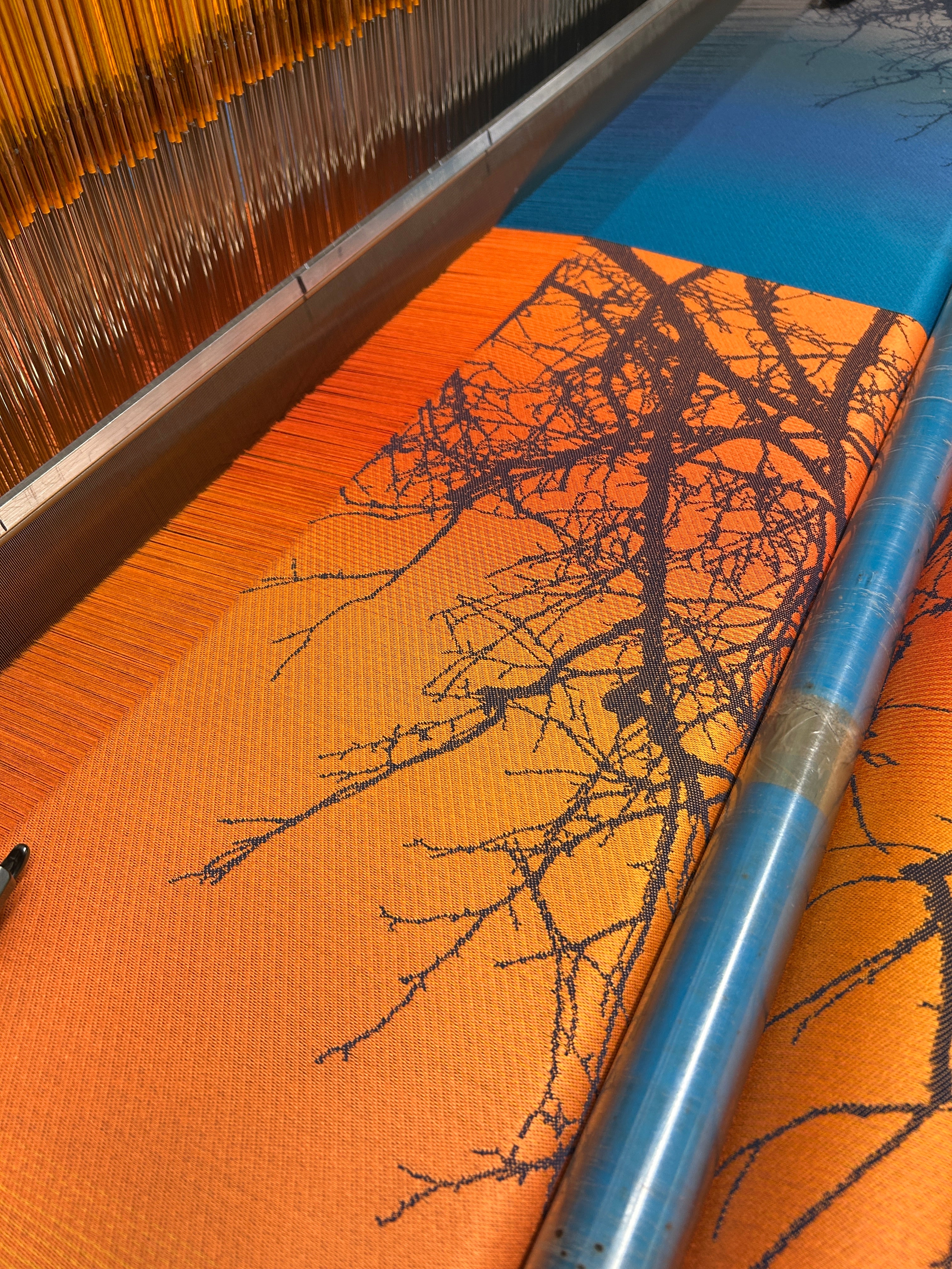 Wildwood Solar Sunset - Mill Mock Up Photos -  SUNSET ORANGE Grad Wildwood with Blue/Grey Organic Cotton Weft - Preorder items now!