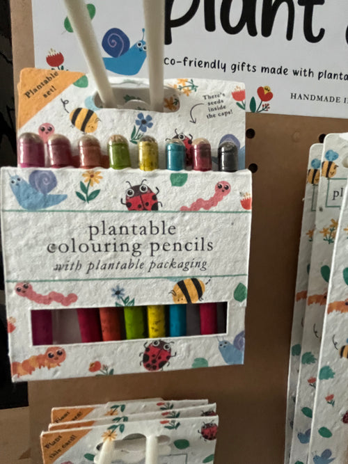 Colouring pencils
