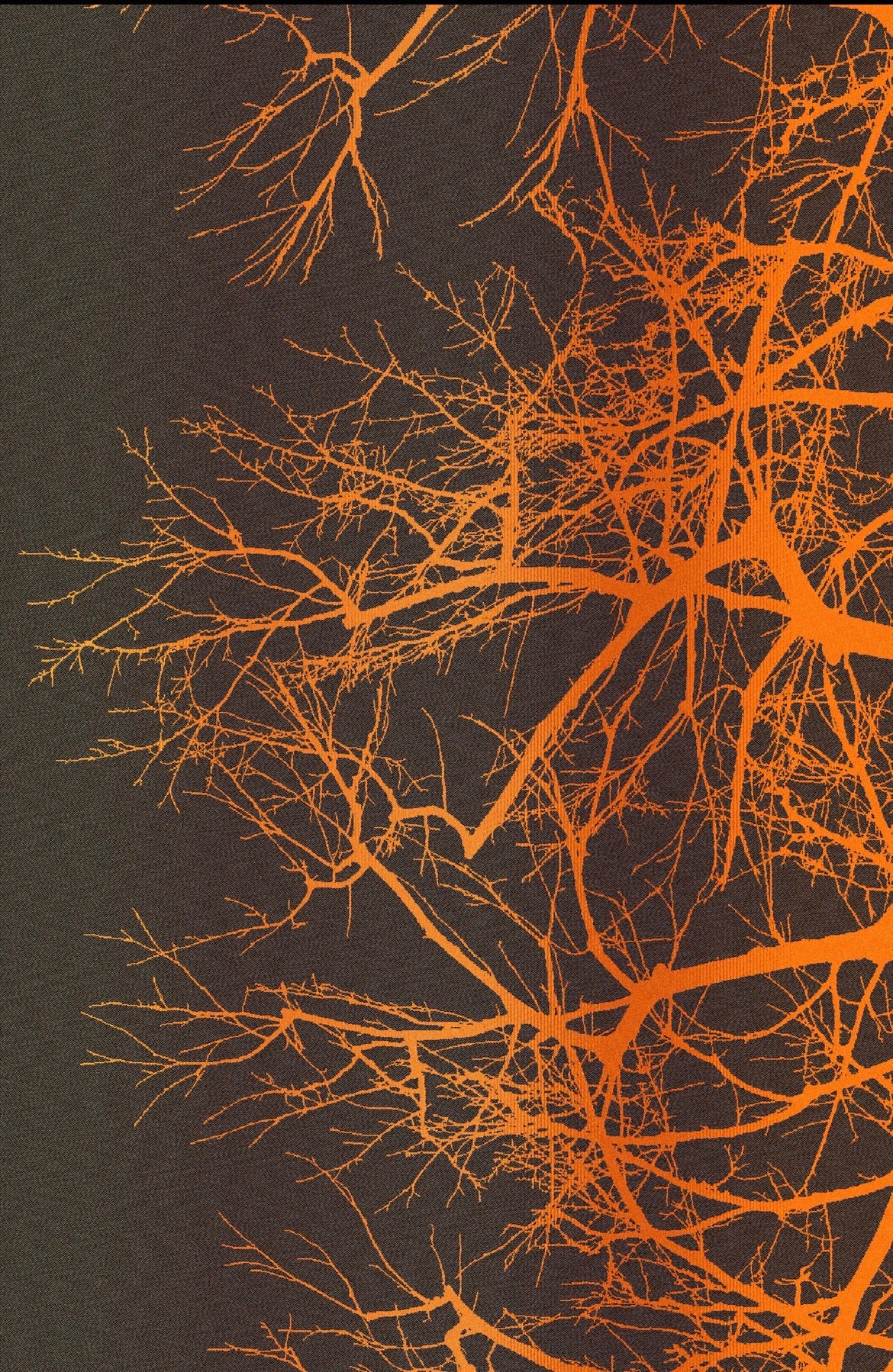 Wildwood Solar Sunset - Mill Mock Up Photos -  SUNSET ORANGE Grad Wildwood with Blue/Grey Organic Cotton Weft - Preorder items now!