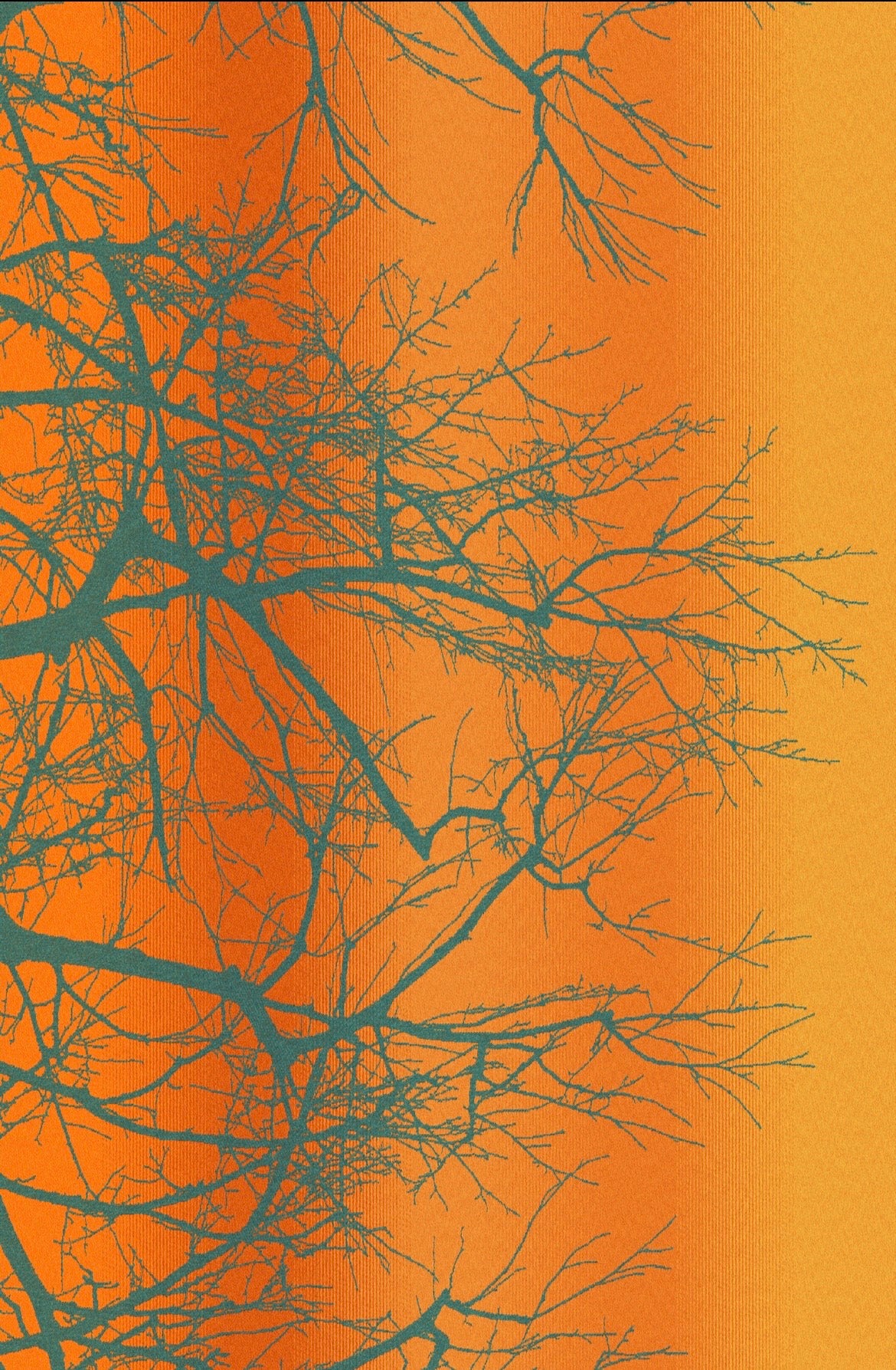 Wildwood Rebirth - Mill Mock Up Photos -  SUNSET ORANGE Grad Wildwood with Teal Linen Weft - Preorder items now!