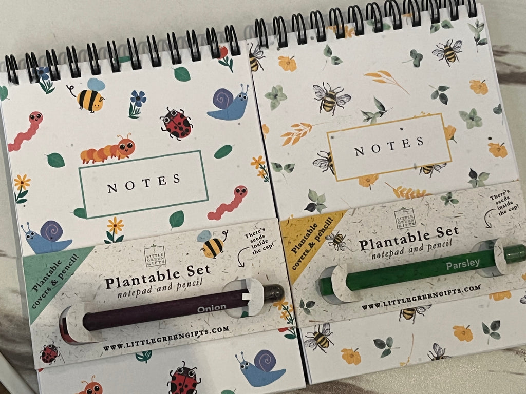 A6 Notepad and Pencil set